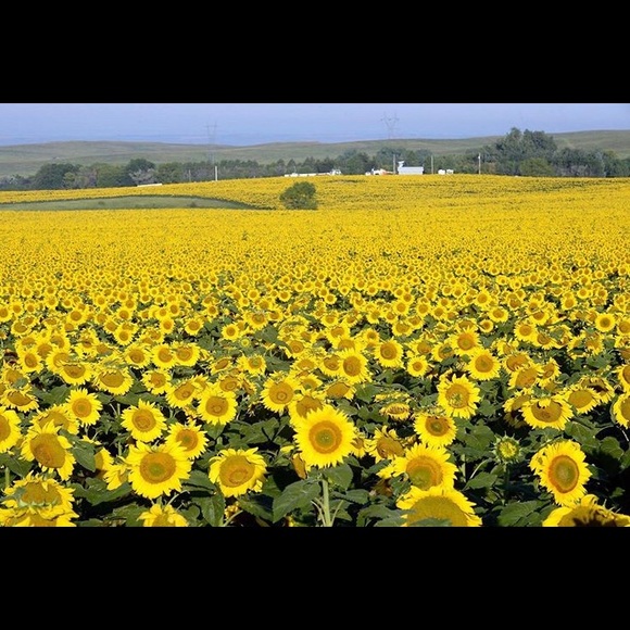 Meet your Posher, Ashanti - Picture 6 of 16